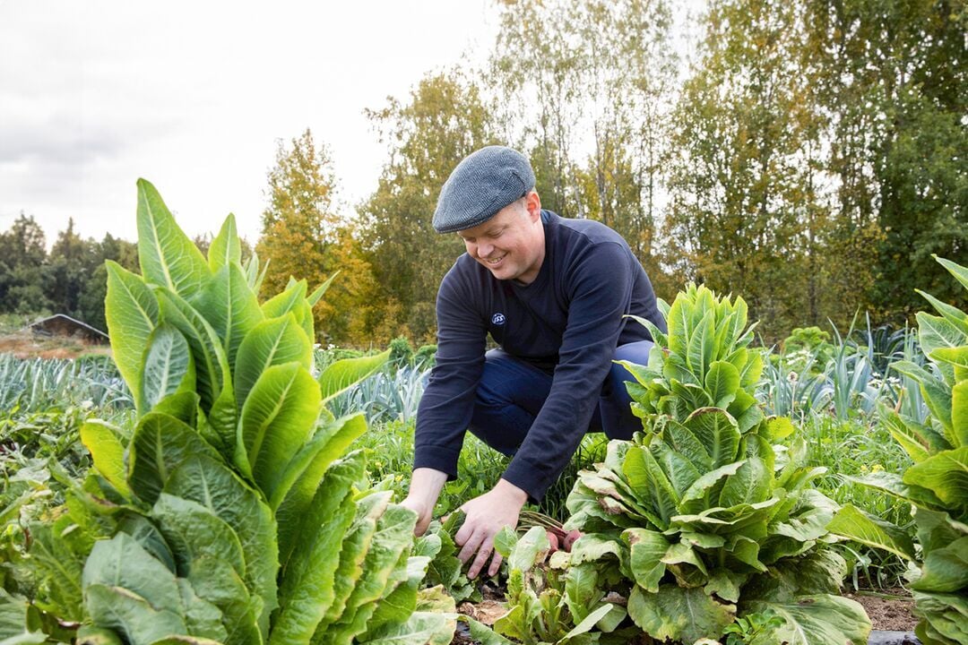 Web_Desktop-2024_ISS_FI_Chef in Field
