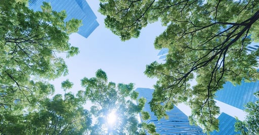 company-news-Medium-Net_Zero_Image