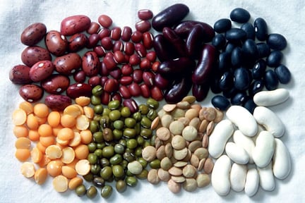 company-news-Web_Desktop-Beans is How_Banner